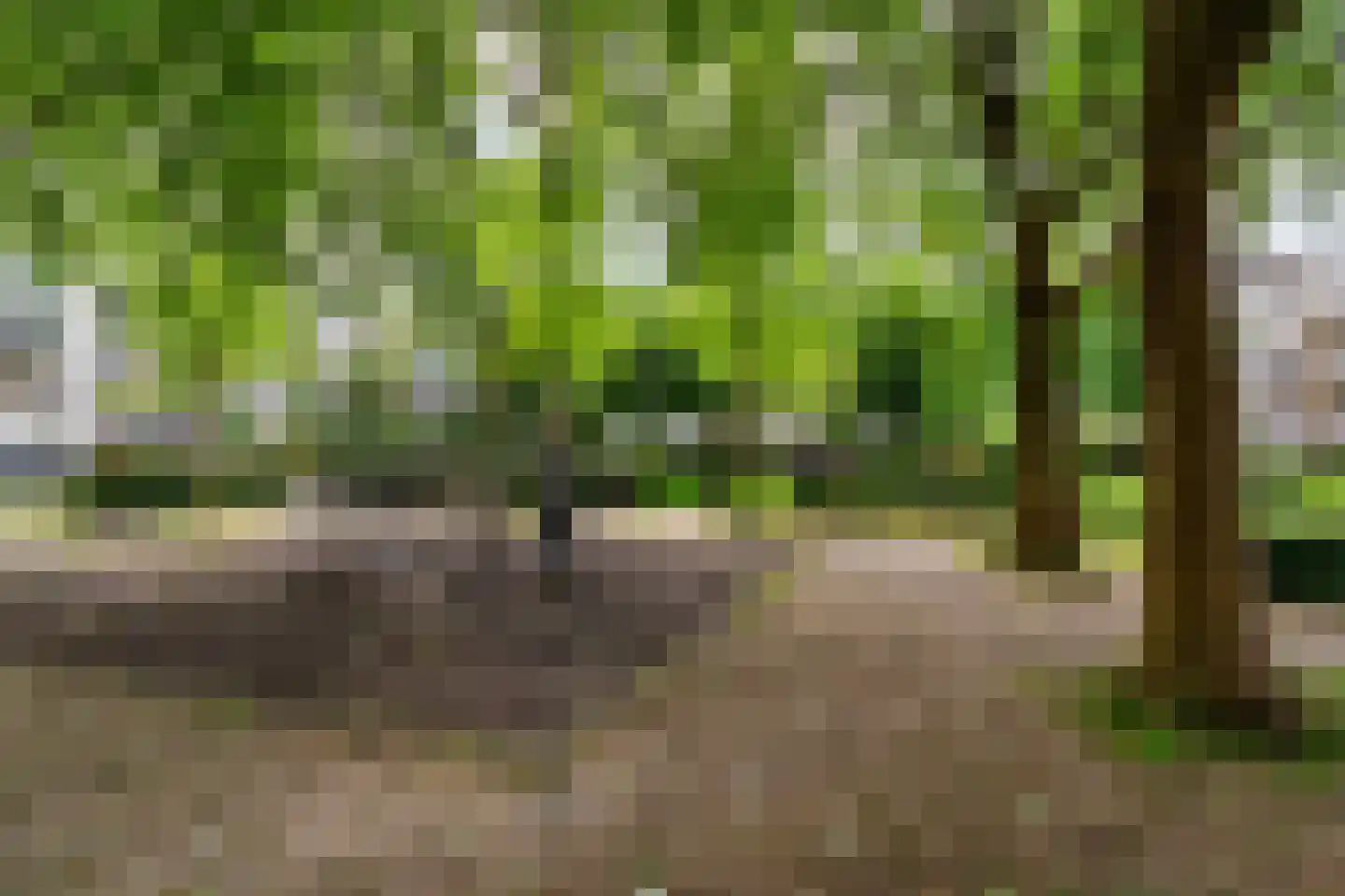 Dostojevskisingel 289 Amsterdam thumbnail 26