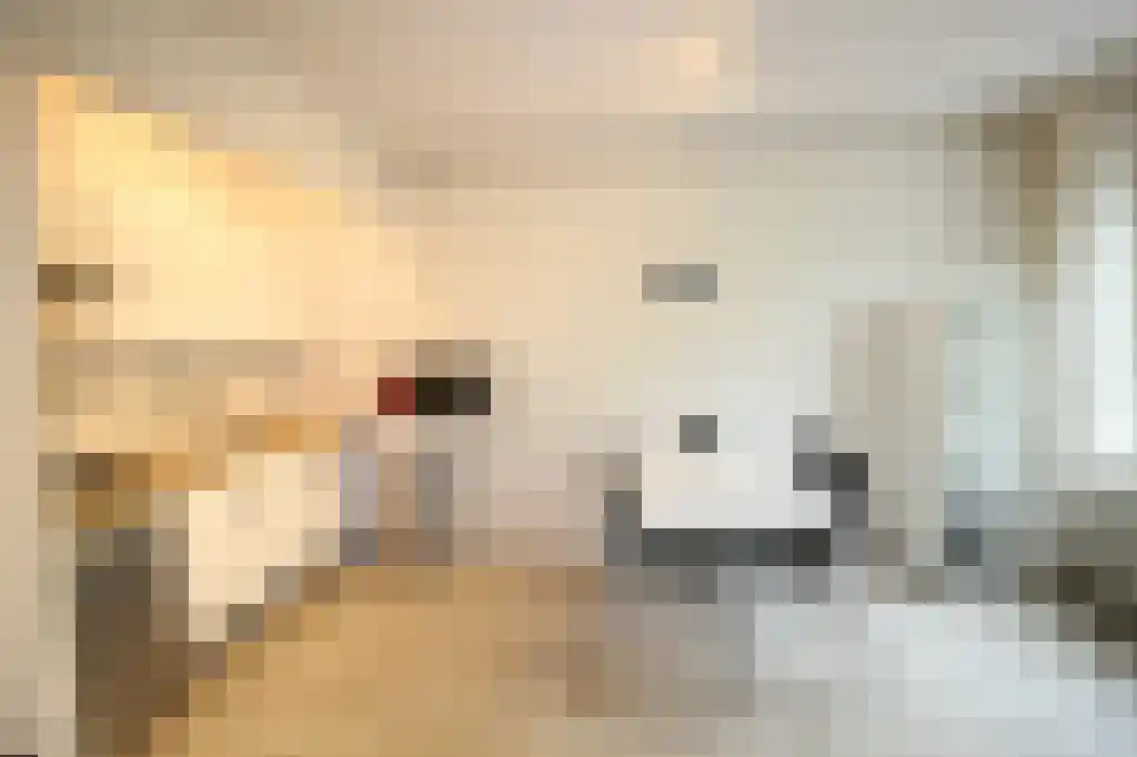 Dostojevskisingel 313 Amsterdam thumbnail 6