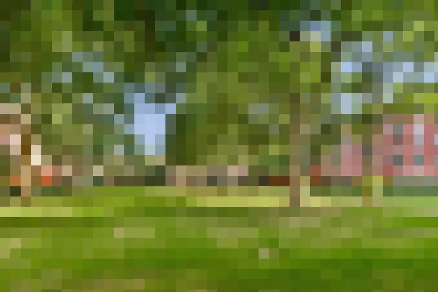 Dostojevskisingel 35 Amsterdam thumbnail 21