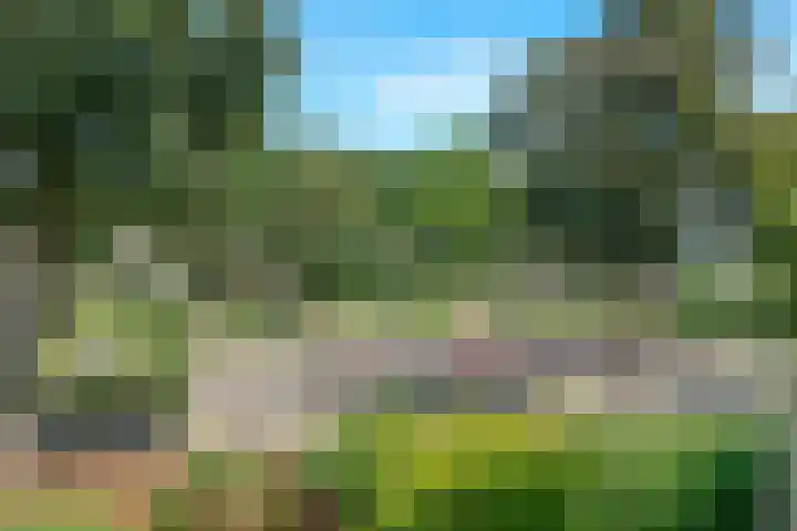 Dostojevskisingel 69 Amsterdam thumbnail 16
