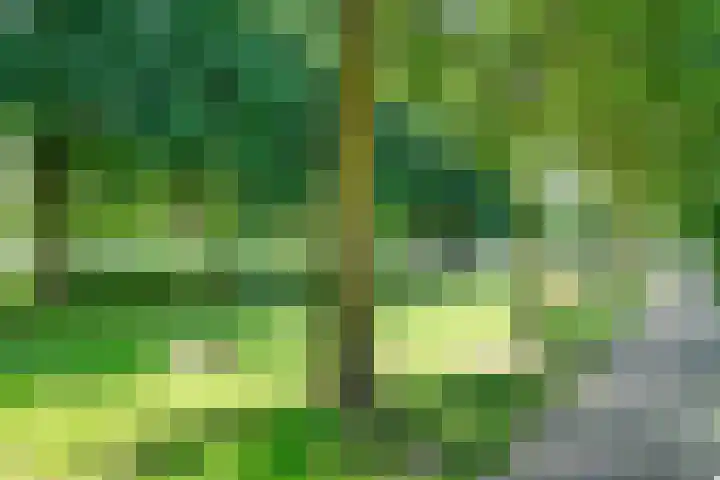 Dostojevskisingel 69 Amsterdam thumbnail 21