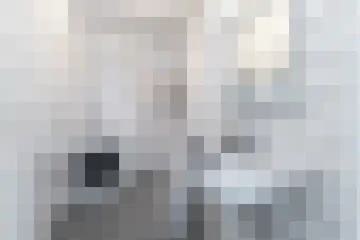 Dostojevskisingel 83 Amsterdam thumbnail 11