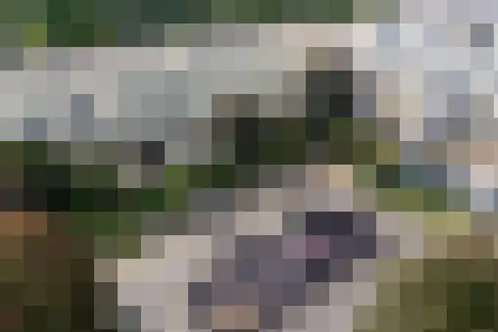 Dostojevskisingel 83 Amsterdam thumbnail 16