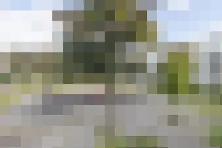 Dostojevskisingel 83 Amsterdam thumbnail 18