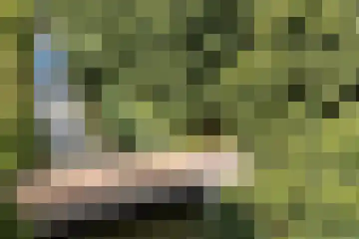 Dostojevskisingel 83 Amsterdam thumbnail 20