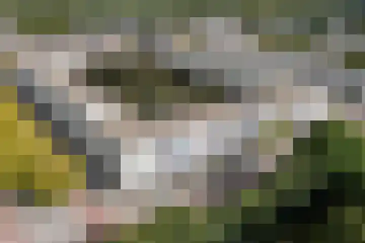 Dostojevskisingel 83 Amsterdam thumbnail 24