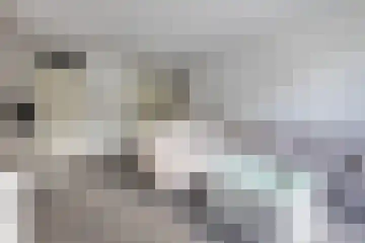 Dostojevskisingel 83 Amsterdam thumbnail 4