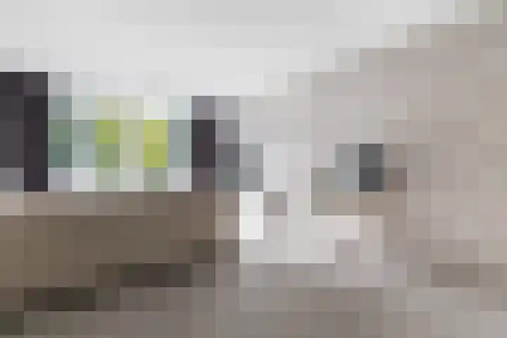 Dostojevskisingel 83 Amsterdam thumbnail 5