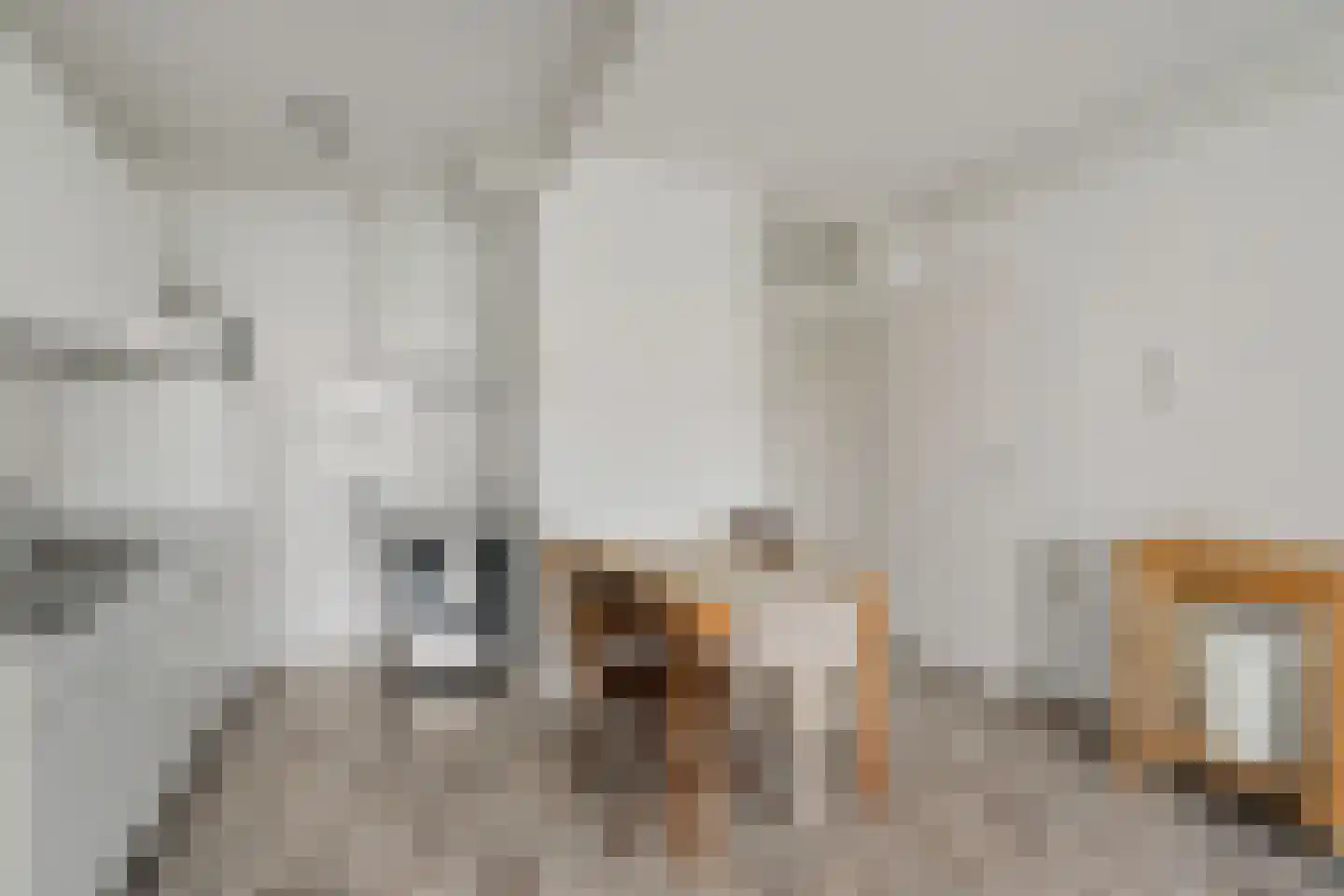 Dostojevskisingel 93 Amsterdam thumbnail 10