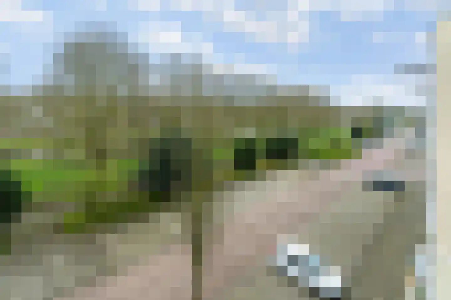Dostojevskisingel 93 Amsterdam thumbnail 5