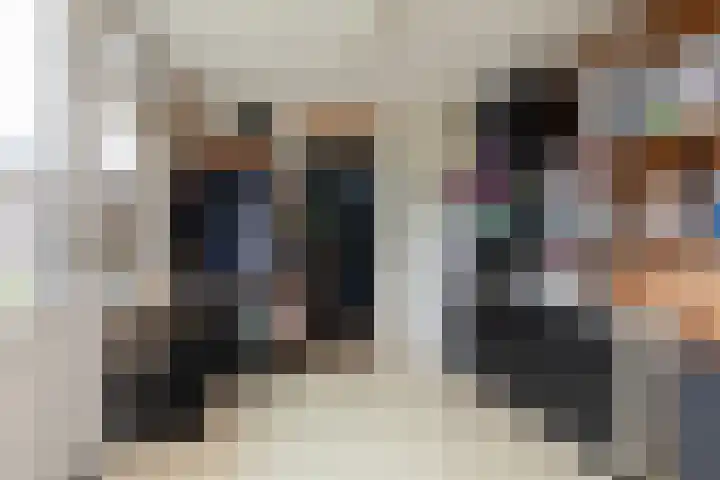 Dotinga Tún 19 Dronryp thumbnail 10