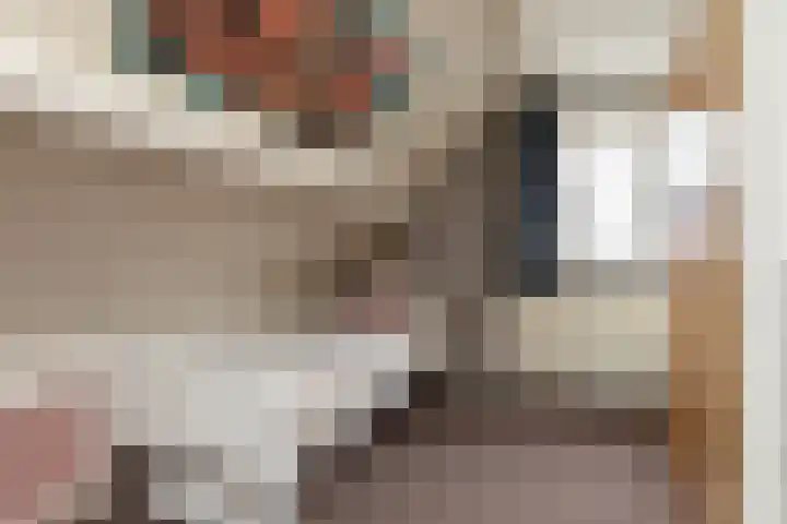 Dotinga Tún 19 Dronryp thumbnail 20
