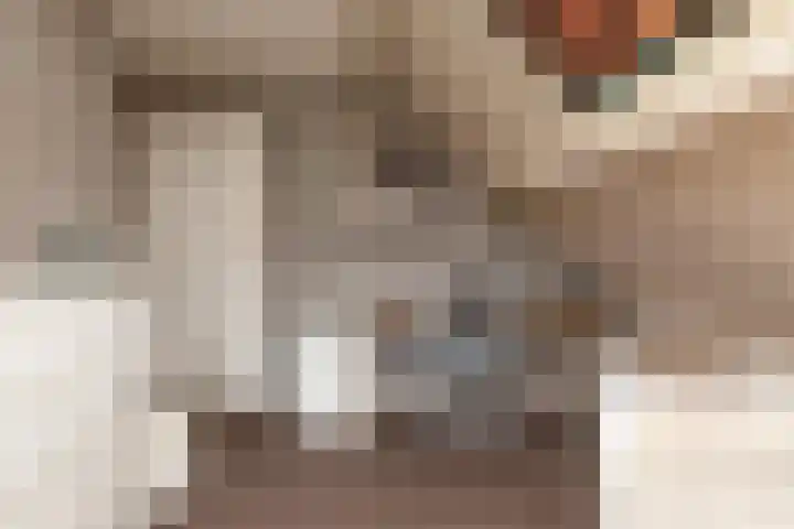 Dotinga Tún 19 Dronryp thumbnail 21