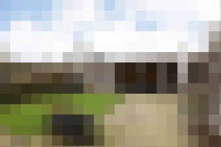 Dotinga Tún 19 Dronryp thumbnail 26