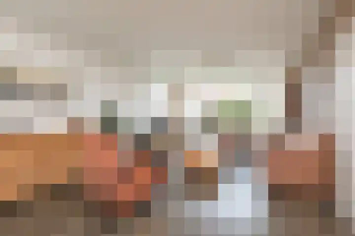 Dotinga Tún 19 Dronryp foto 3