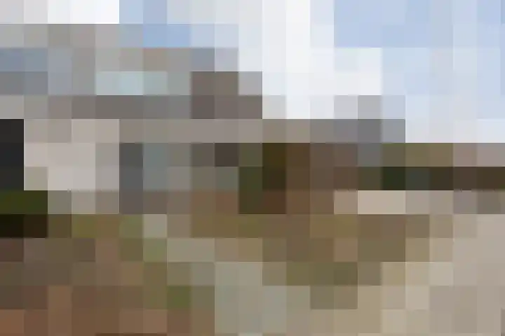 Dotinga Tún 19 Dronryp thumbnail 33