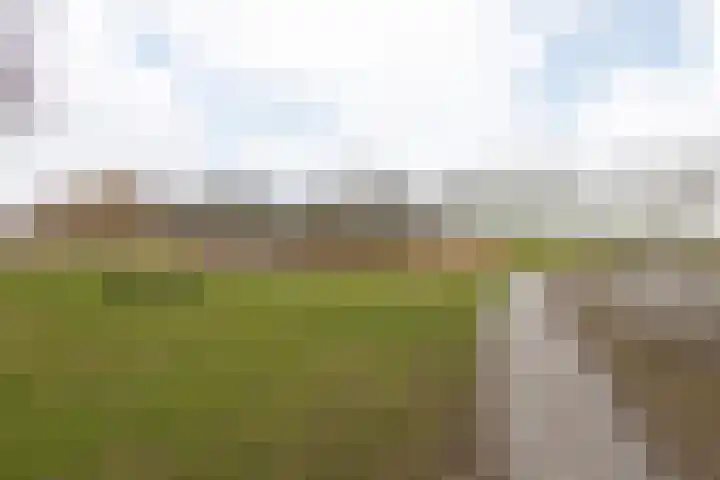 Dotinga Tún 19 Dronryp thumbnail 35