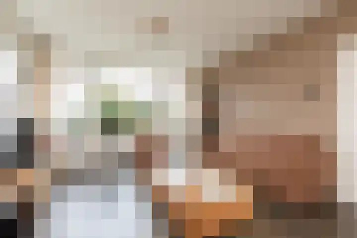 Dotinga Tún 19 Dronryp thumbnail 4