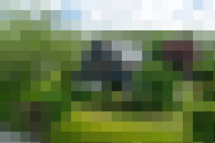 Dotinga Tún 24 Dronryp