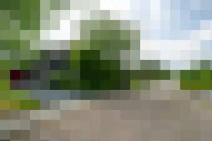 Dotinga Tún 24 Dronryp thumbnail 10