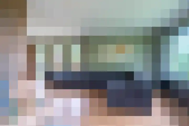Dotinga Tún 24 Dronryp thumbnail 13