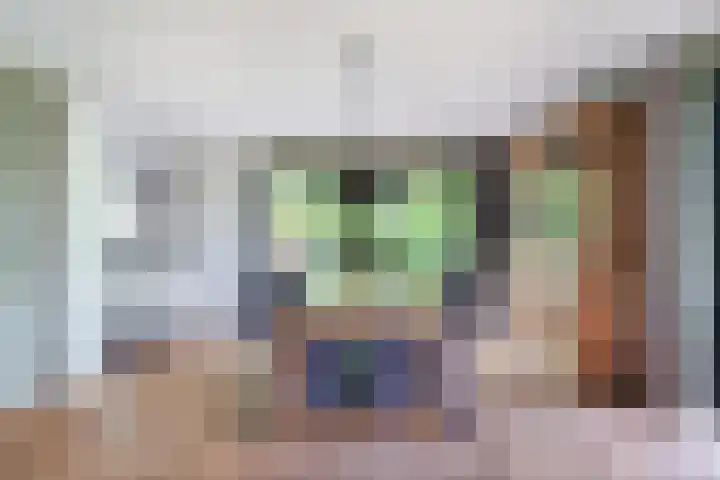 Dotinga Tún 24 Dronryp thumbnail 15