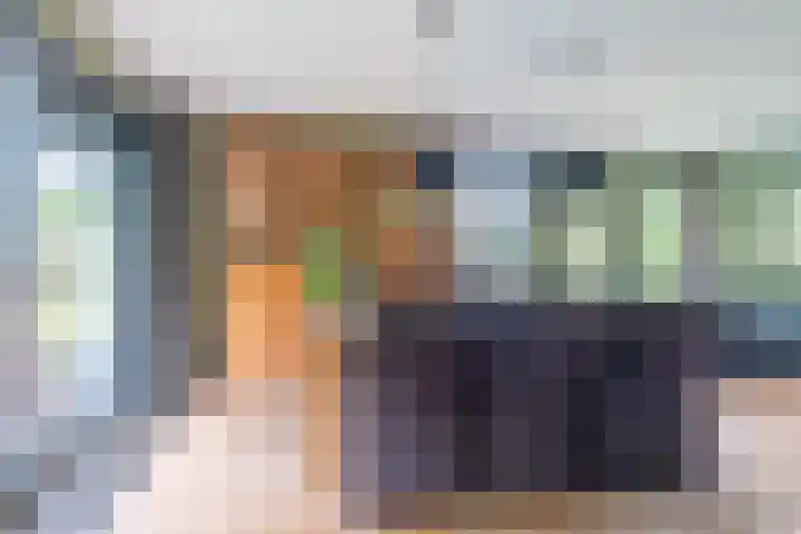 Dotinga Tún 24 Dronryp thumbnail 16