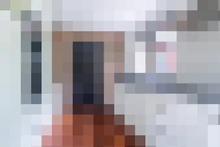 Dotinga Tún 24 Dronryp thumbnail 17