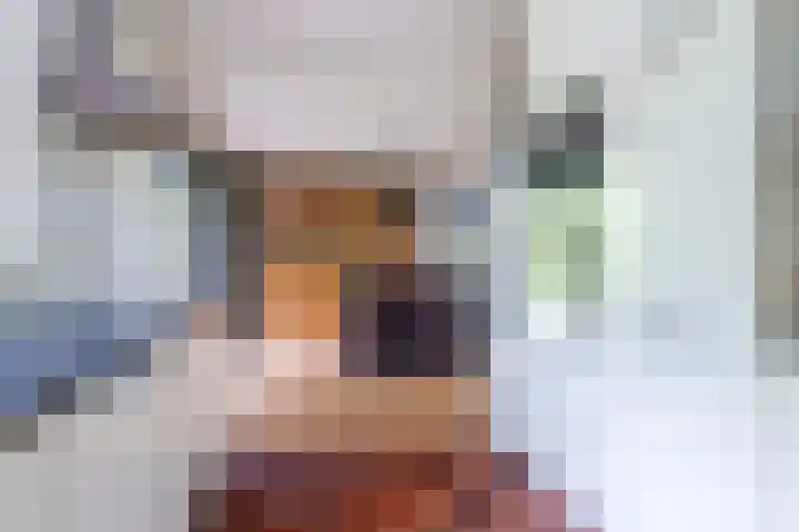 Dotinga Tún 24 Dronryp thumbnail 18
