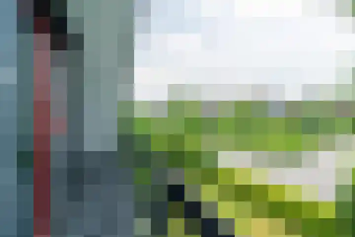 Dotinga Tún 24 Dronryp thumbnail 24