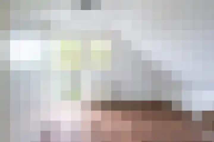 Dotinga Tún 24 Dronryp thumbnail 25