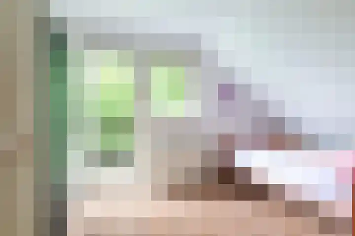 Dotinga Tún 24 Dronryp thumbnail 27