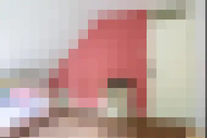 Dotinga Tún 24 Dronryp thumbnail 28