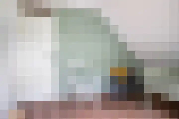 Dotinga Tún 24 Dronryp thumbnail 30