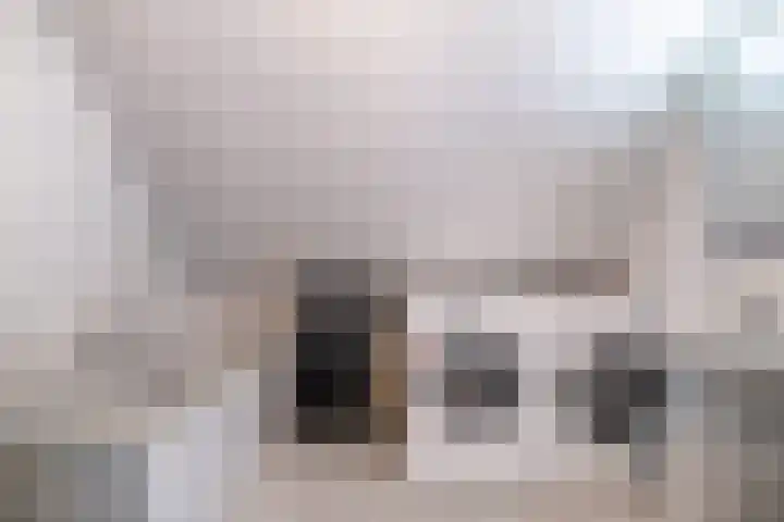 Dotinga Tún 24 Dronryp thumbnail 31