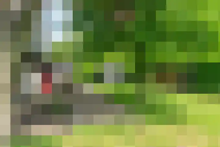 Dotinga Tún 24 Dronryp thumbnail 34