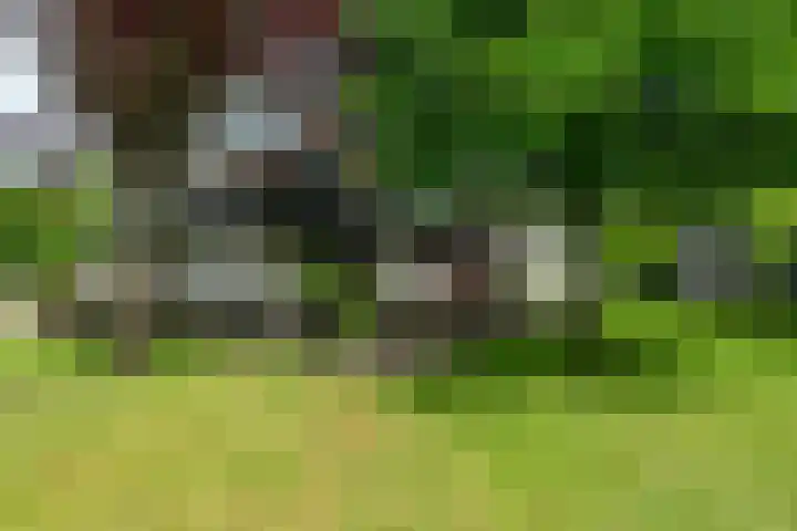 Dotinga Tún 24 Dronryp thumbnail 35
