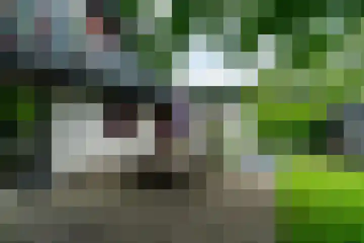 Dotinga Tún 24 Dronryp thumbnail 36