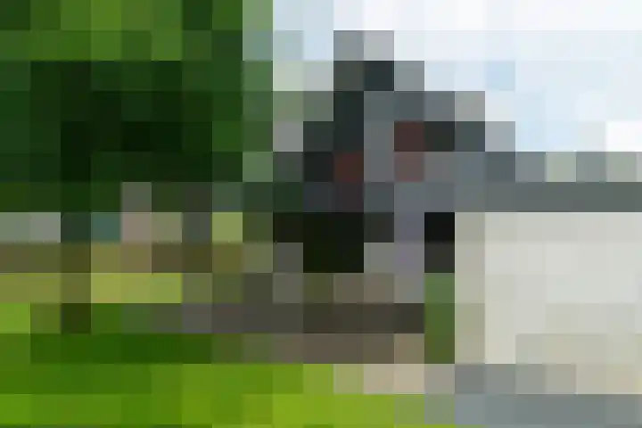 Dotinga Tún 24 Dronryp thumbnail 37