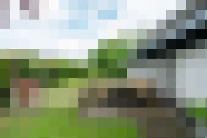 Dotinga Tún 24 Dronryp thumbnail 39