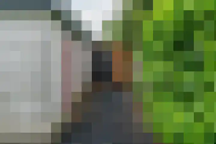 Dotinga Tún 24 Dronryp thumbnail 40