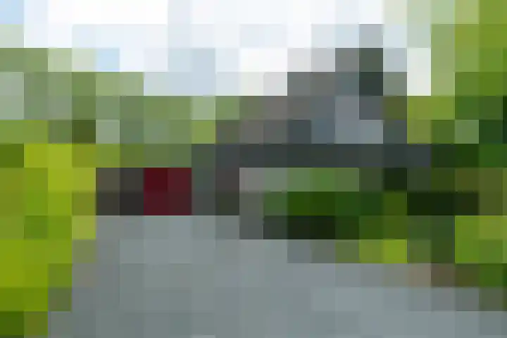 Dotinga Tún 24 Dronryp thumbnail 5