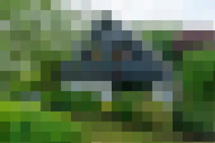 Dotinga Tún 24 Dronryp thumbnail 6