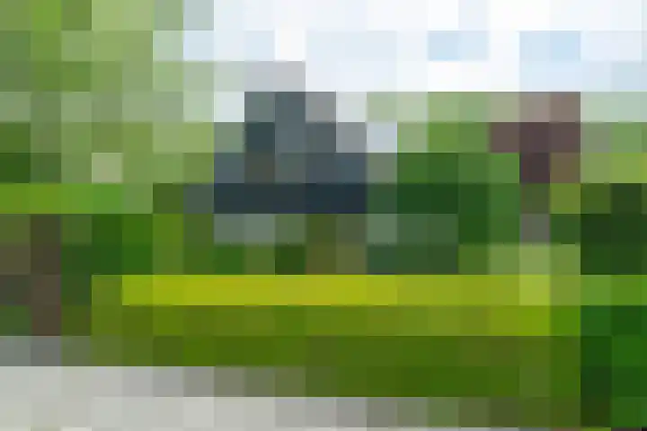 Dotinga Tún 24 Dronryp thumbnail 7