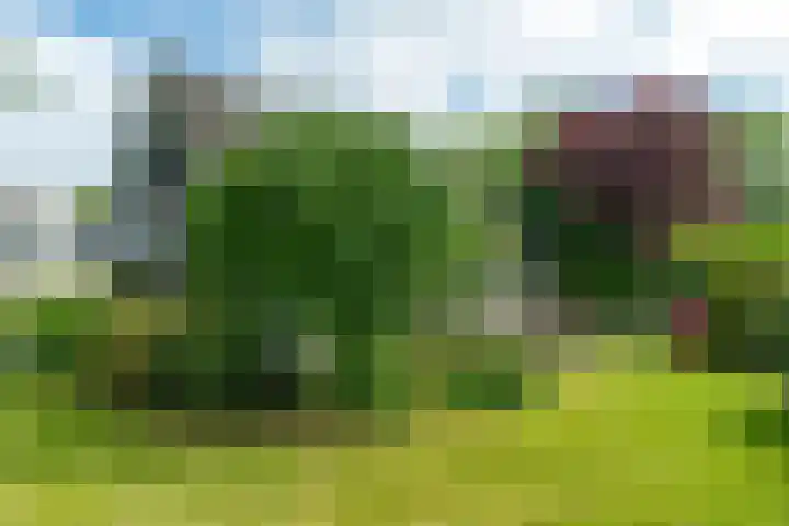 Dotinga Tún 24 Dronryp thumbnail 8