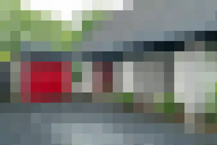 Dotinga Tún 24 Dronryp thumbnail 9