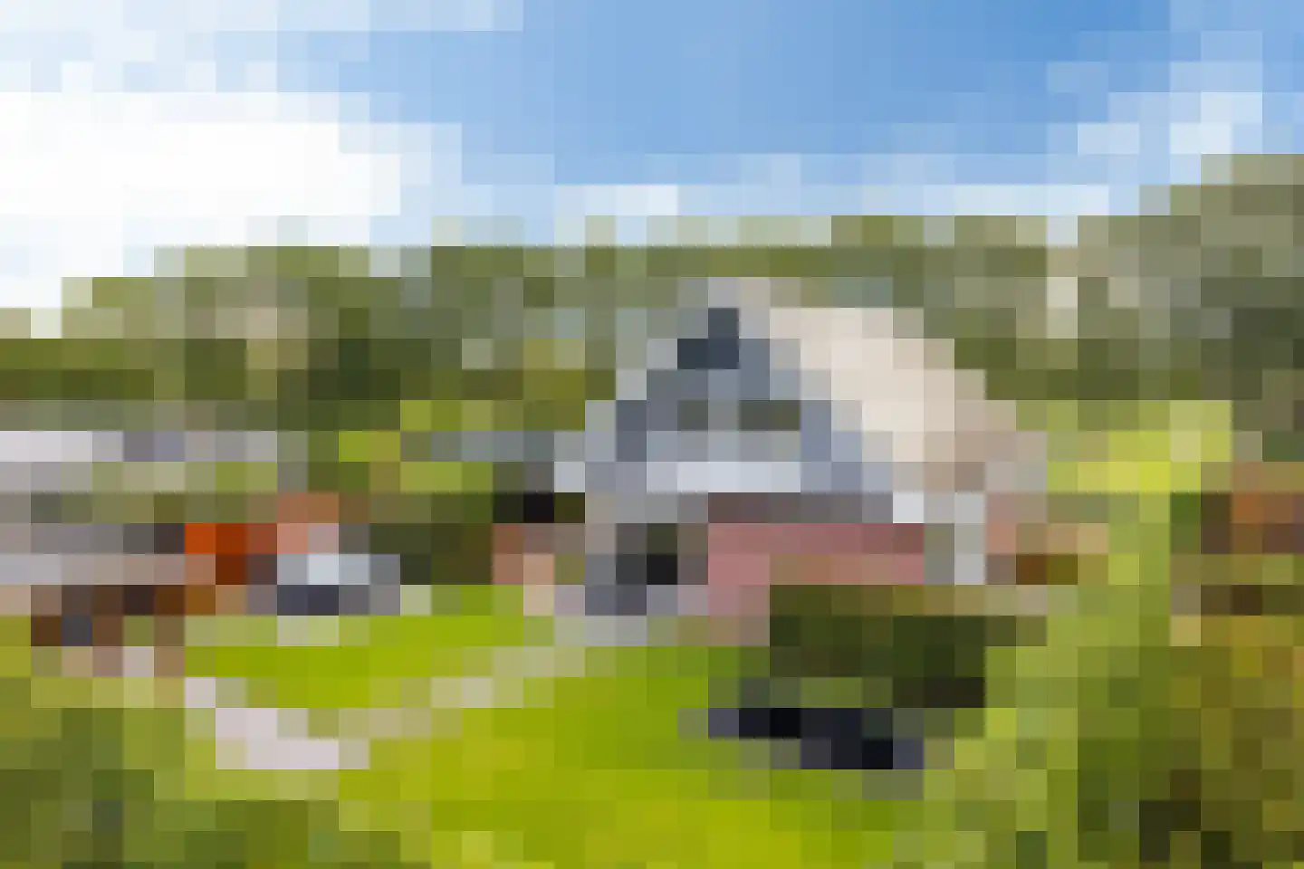 Dotinga Tún 28 Dronryp