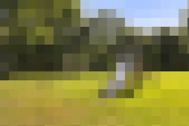 Dotingastate 115 Leeuwarden thumbnail 33