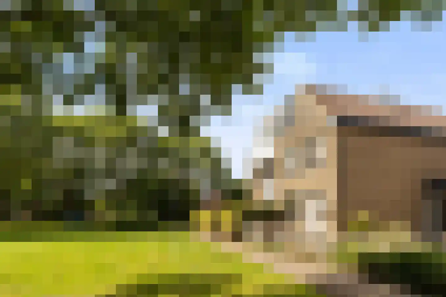 Dotingastate 115 Leeuwarden thumbnail 9
