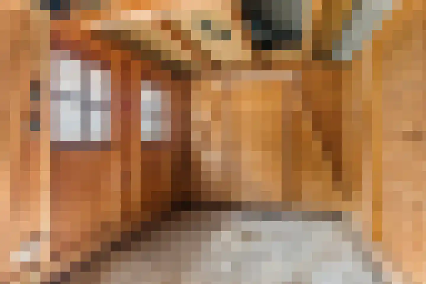 Dotingastate 54 Leeuwarden thumbnail 33